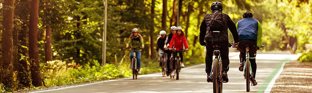 Radfahrende auf einem Radschnellweg