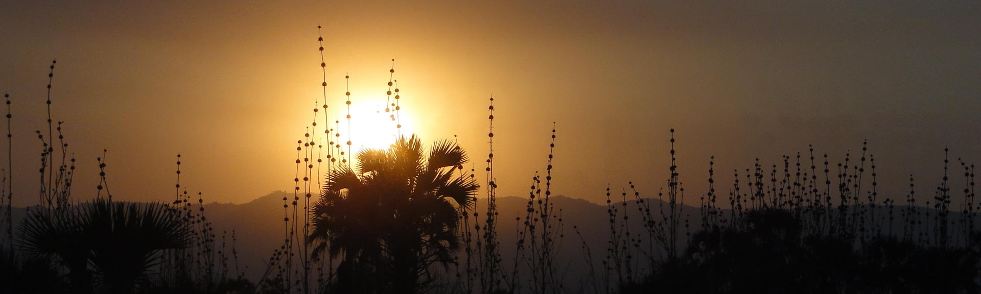 Sunset, Maramboi Tented Lodge, Tanzania